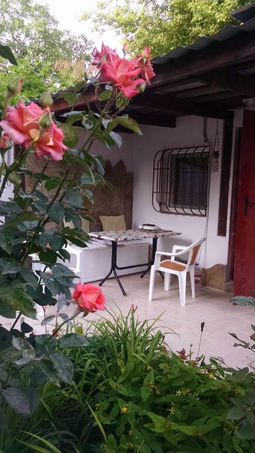 Студия С Двориком В Отраде Odessa Ngoại thất bức ảnh